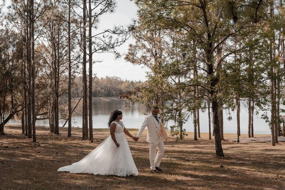 The Pines