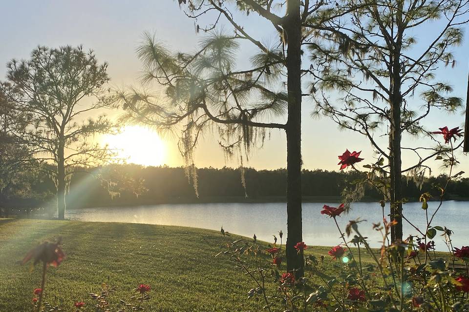 Sunset at the Lake