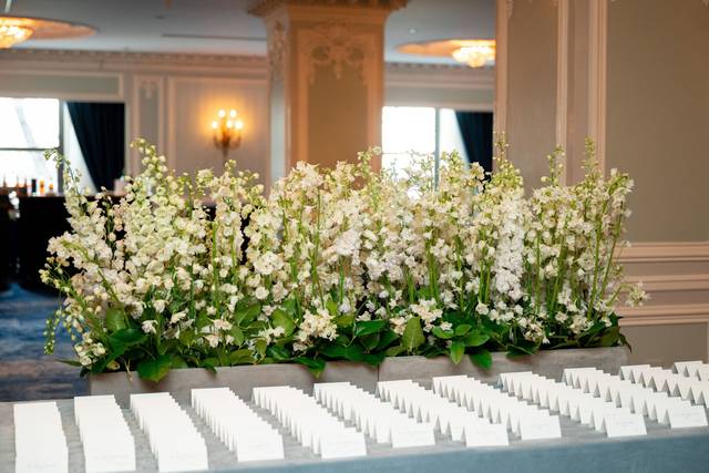 Amelia Cole Weddings + Events