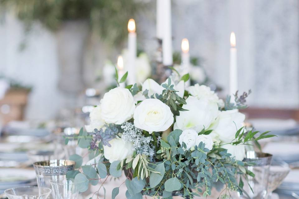 Amelia Cole Weddings + Events