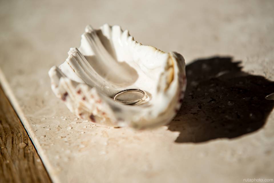 Ruta Taraska Photography