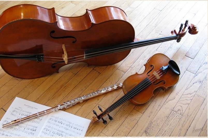 Richter Ensembles