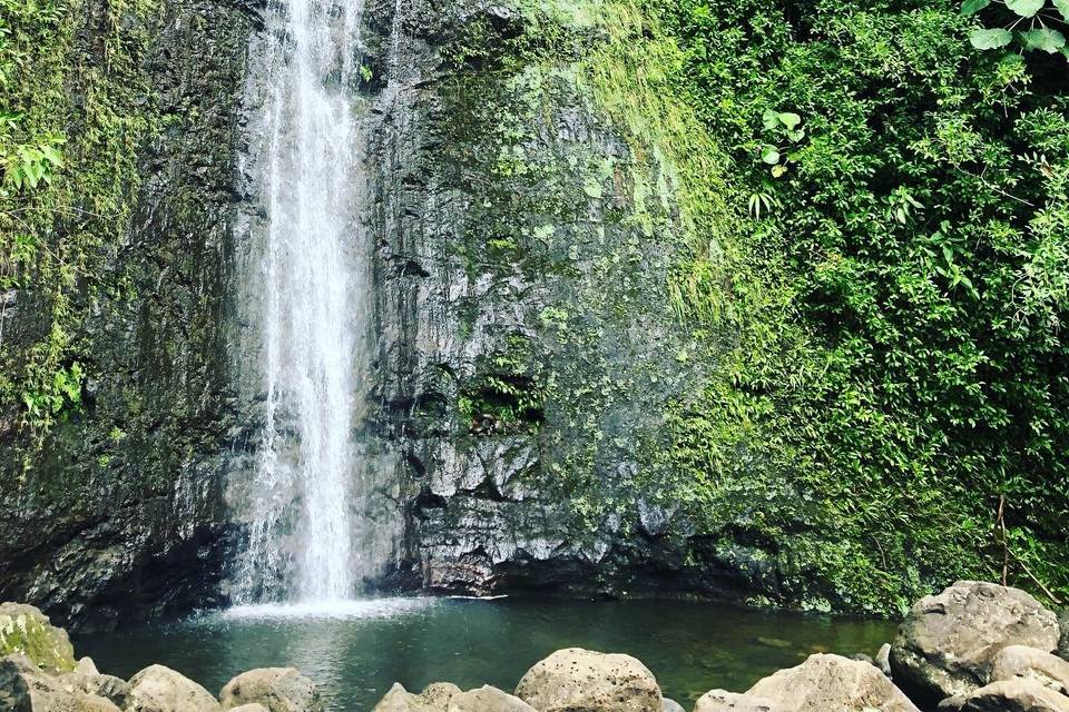 Manoa Falls