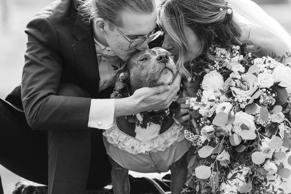 Detroit Wedding Photography