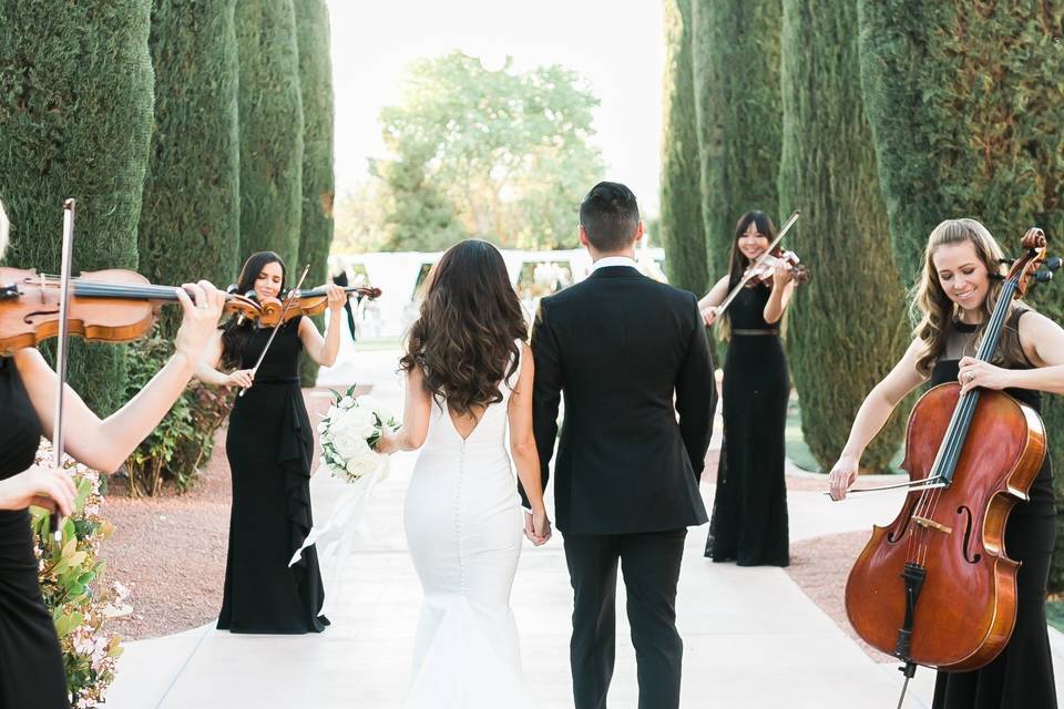 Serenade at Amphitheater