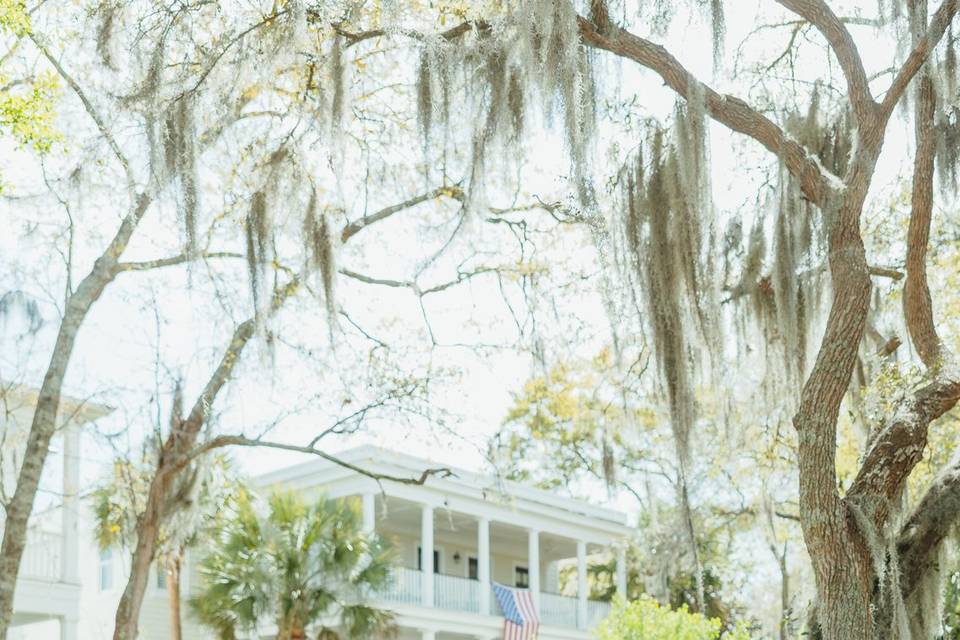 Charleston Dream