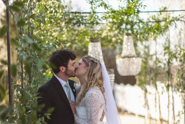 Arbor Love