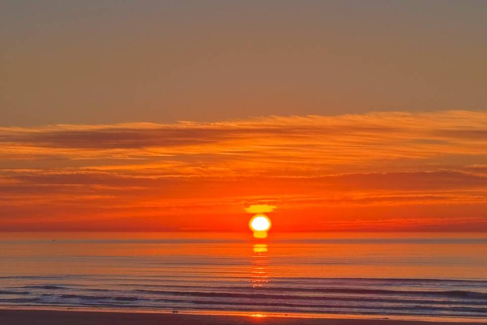 Sunset on the Bay: Seahorse