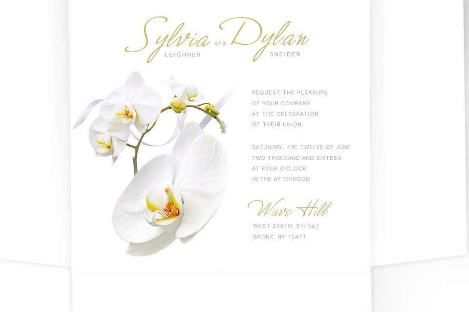 Square white orchid wedding invitation. Comes with pocket-folder or envelope, both made of Crest Solar White cover stock.