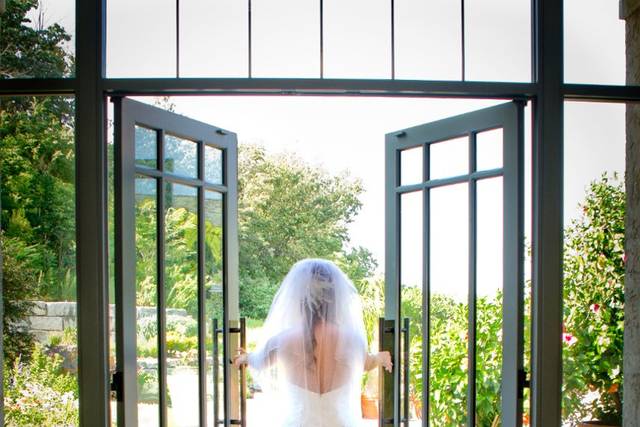 TLC Photography
