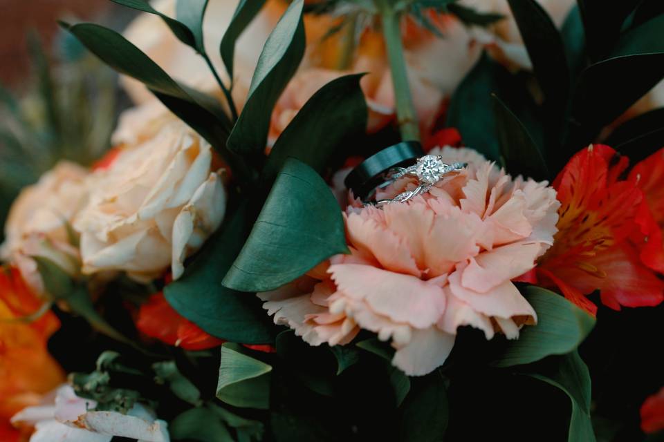 Closeup Photography