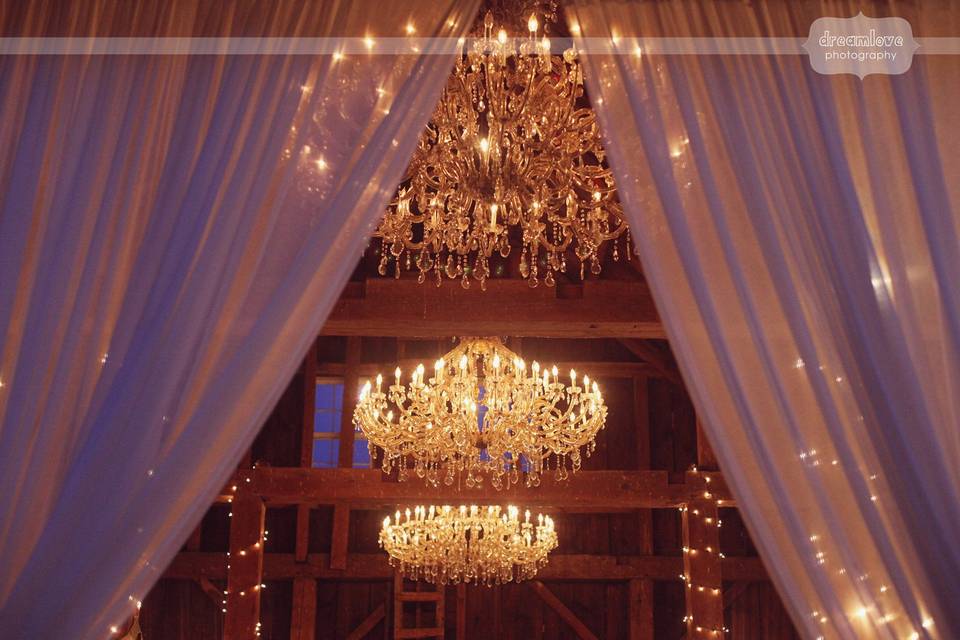 Elegant chandeliers