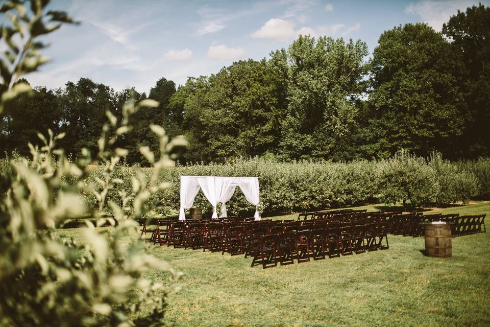 Ceremony setup