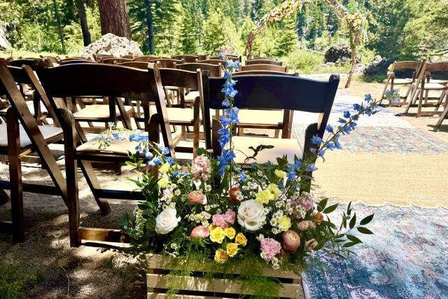 Wildflower aisle entrance 1