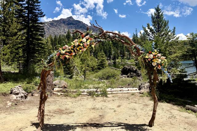 Wildflower Arch