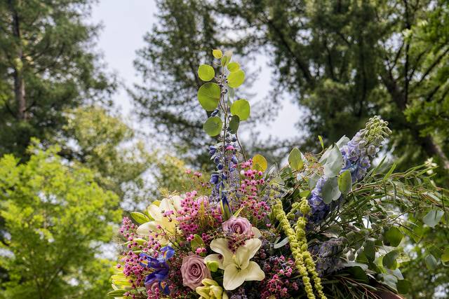 Larger Arch Arrangment