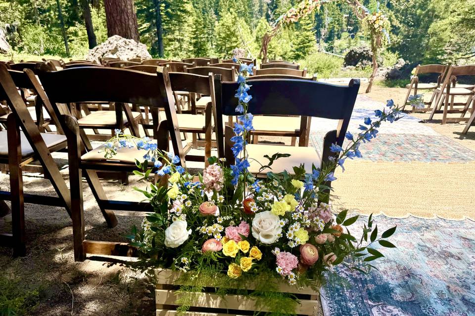 Wildflower aisle entrance 1