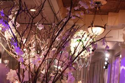 Orchid tree centerpiece