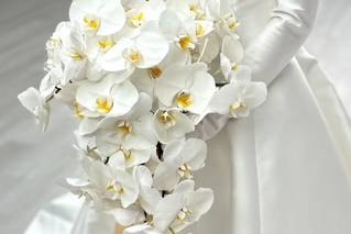 Blooming Brides Florist