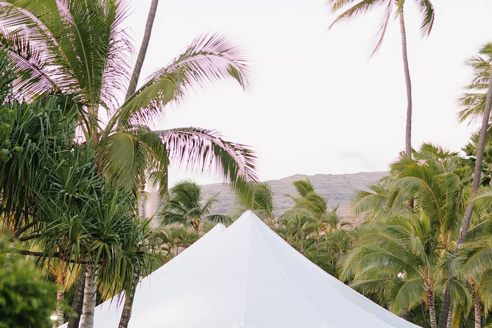 Sailcloth Tent