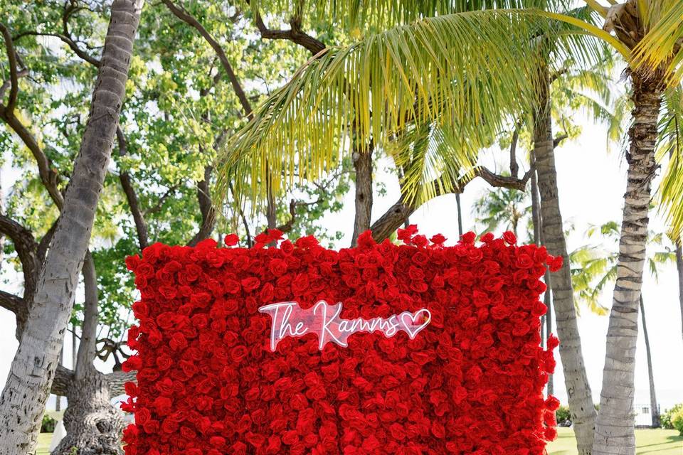 Photo backdrop