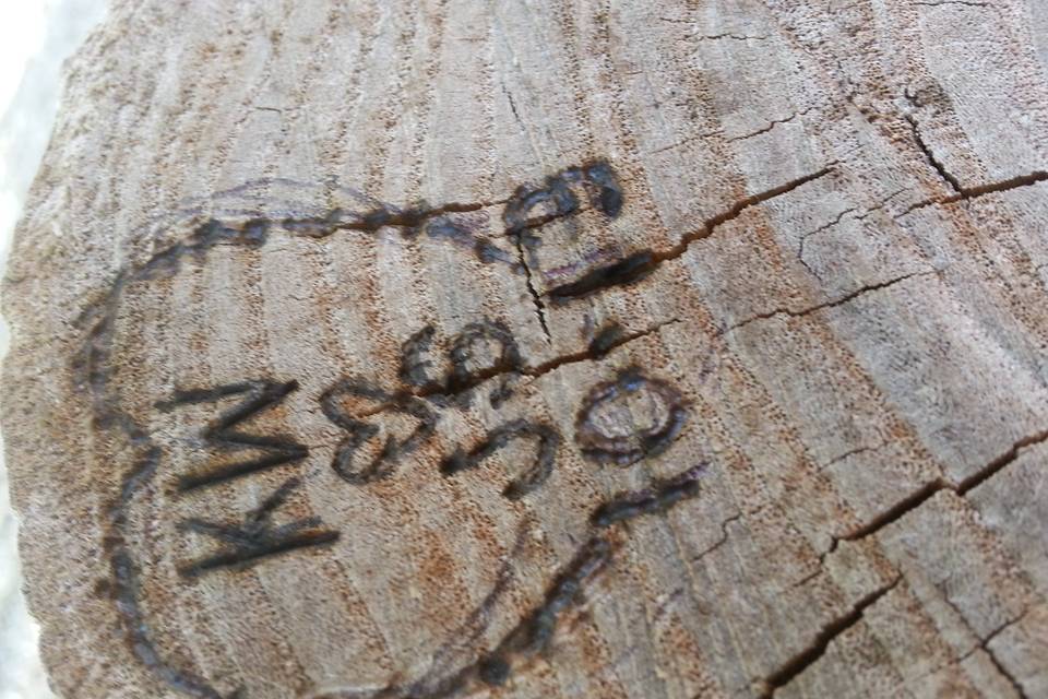 Clients initials are wood burned into a tree stump at Cedar Tree Barn.