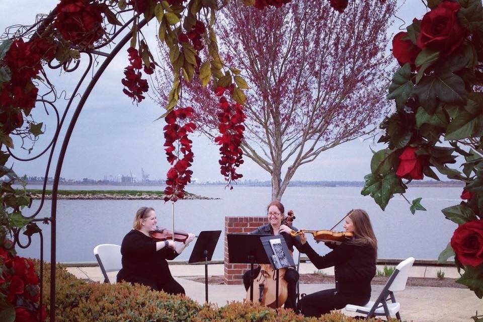 Third Floor Strings