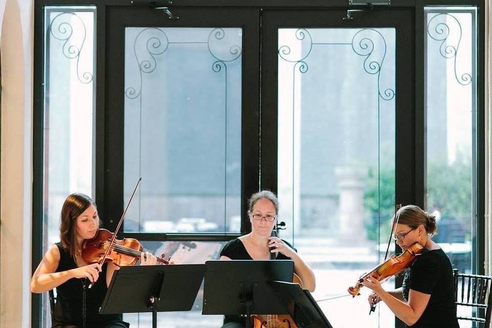 Third Floor Strings