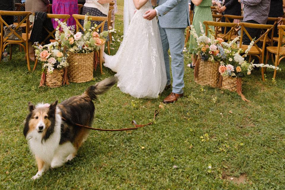 Colorado Wedding Photographer