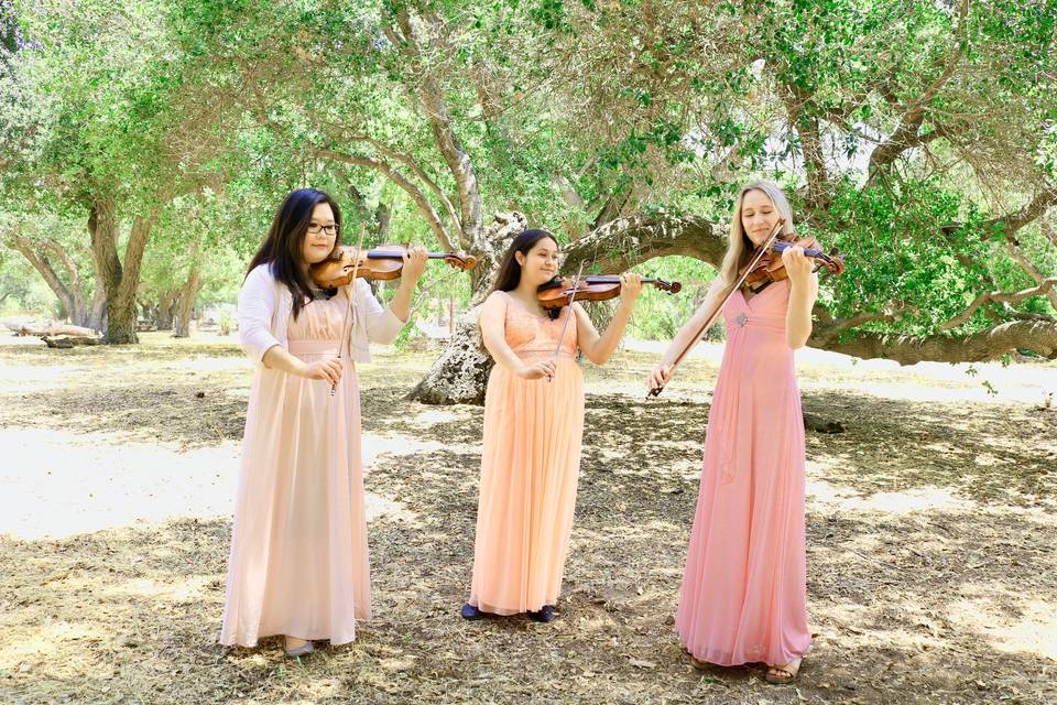 GME String Trio - Los Angeles