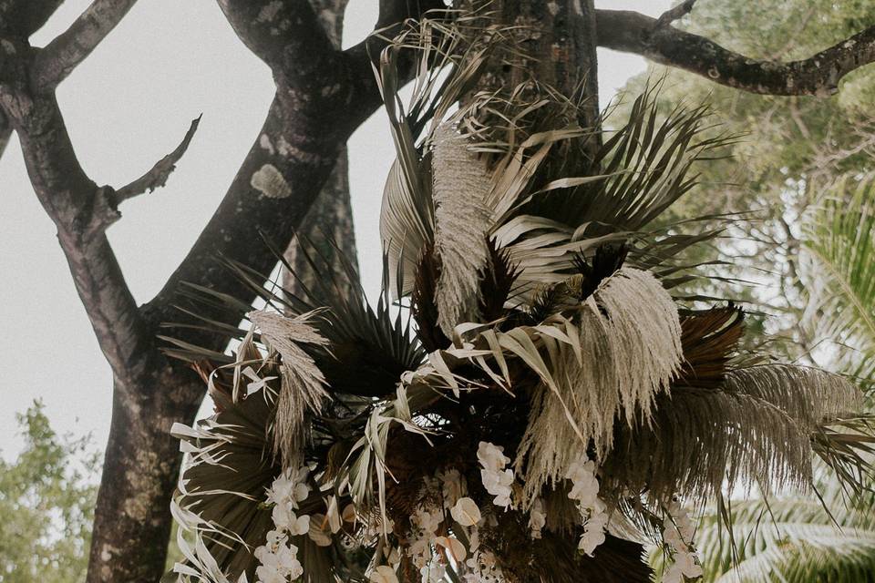 Mystic Breeze Elopement