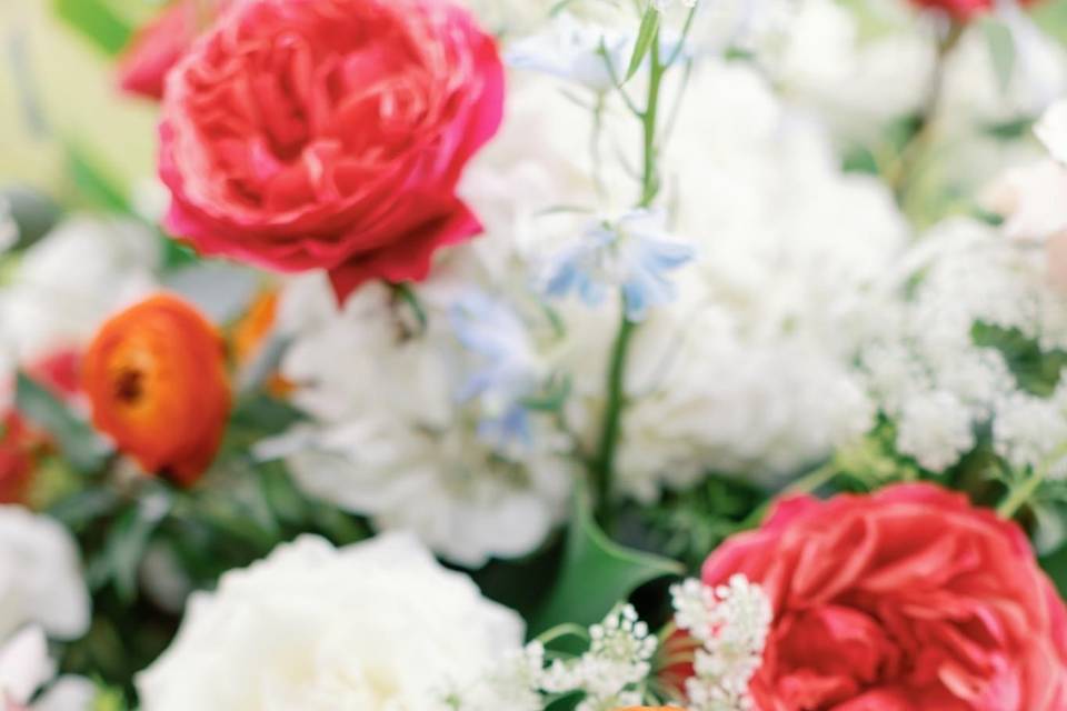 Bright Garden Roses