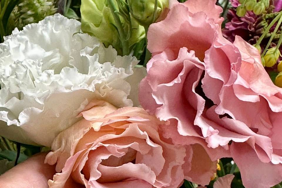 Petal Whispers