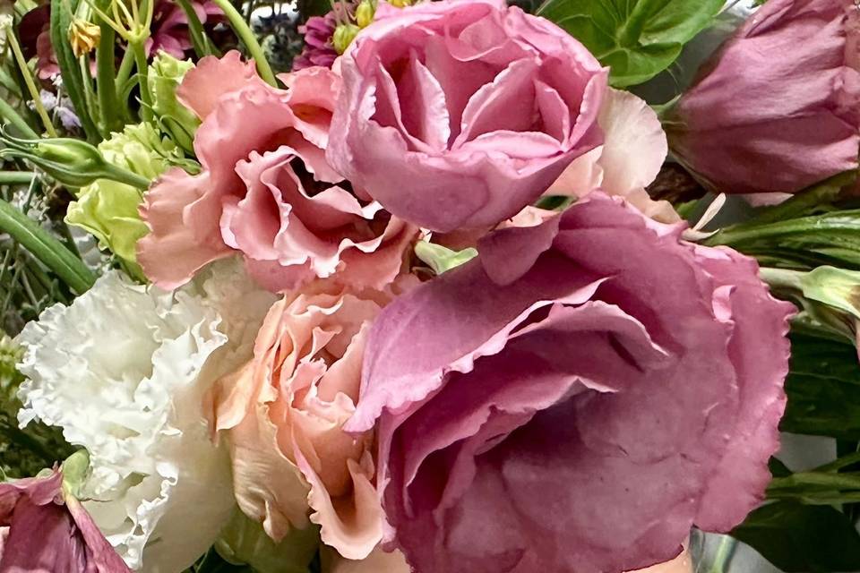 Petal Whispers
