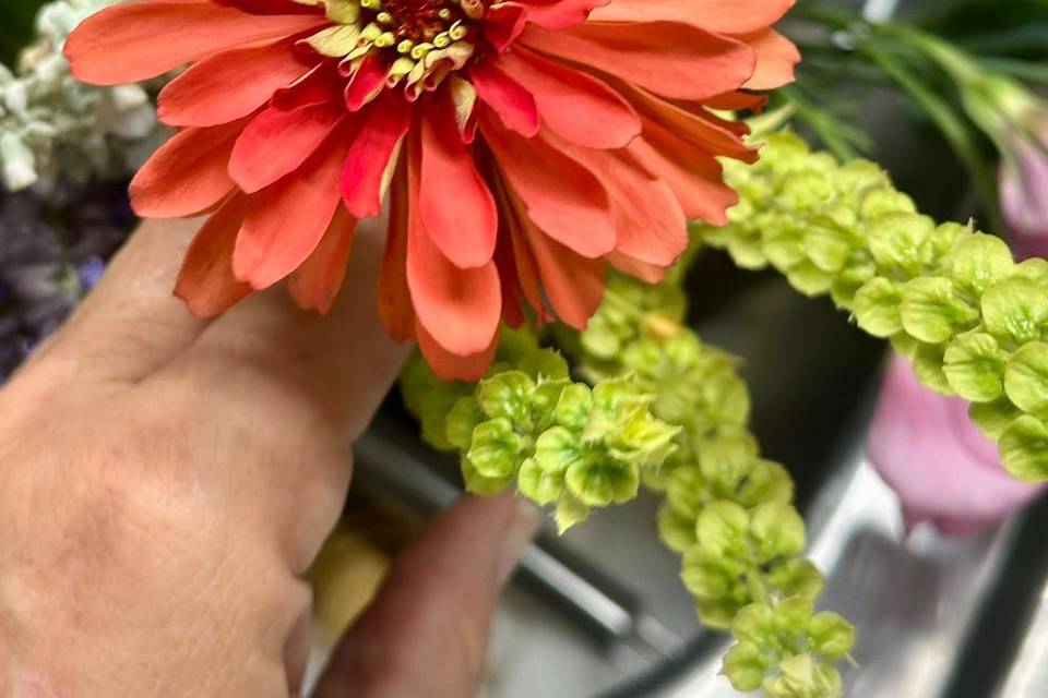 Petal Whispers
