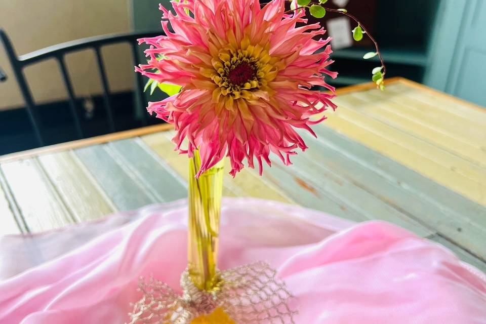 Petal Whispers