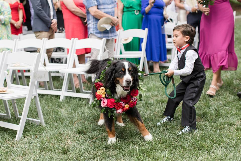 Ring bearers tug of war