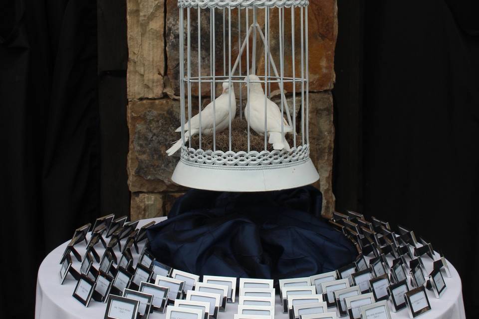 Dove inside the cage and cards