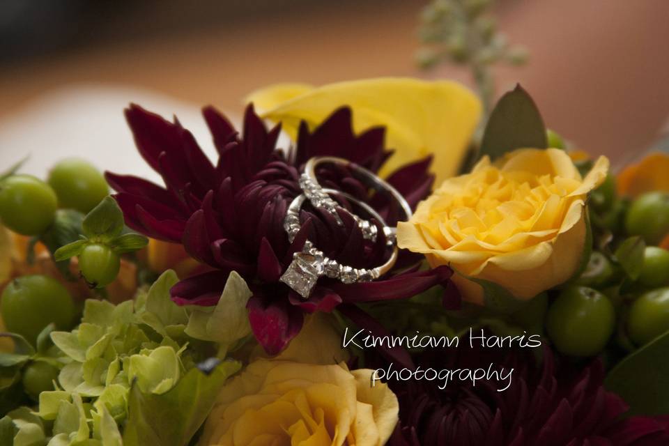 Kimmiann Harris Photography