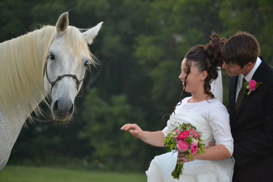 Bride's portrait