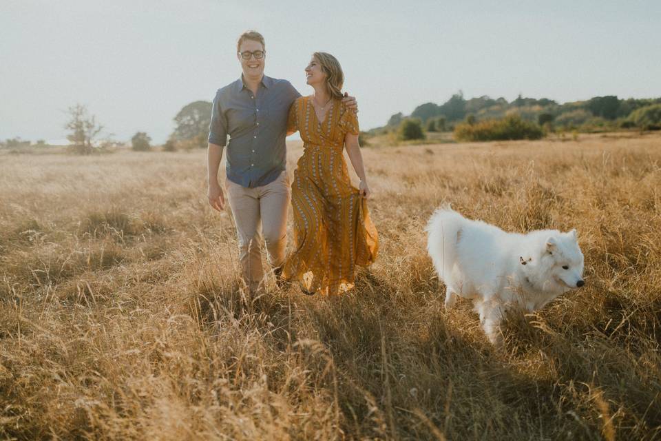 Discovery Park Engagement