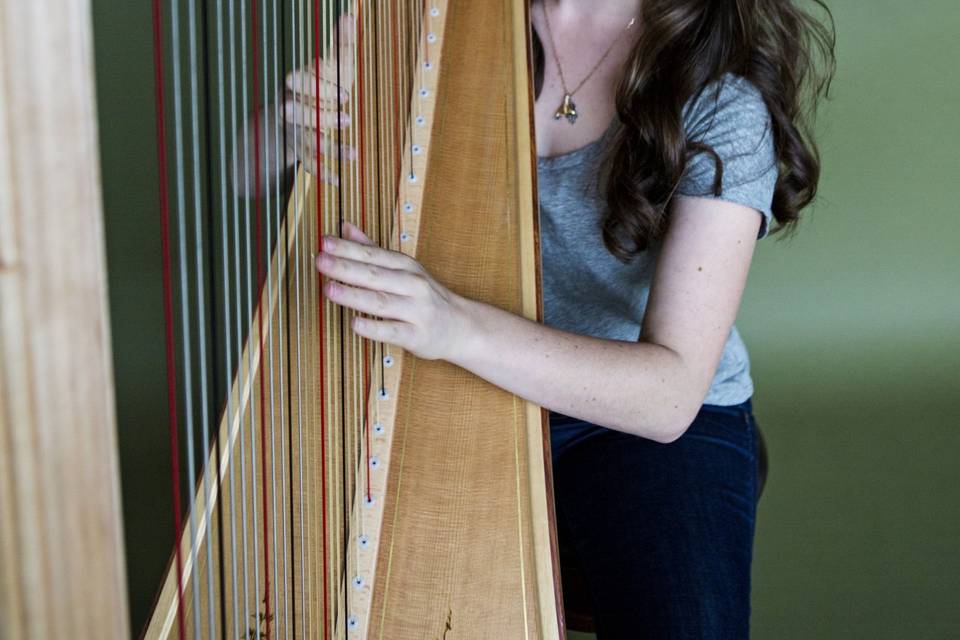 Pretty harp player