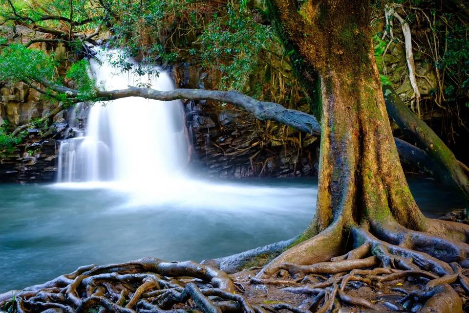 Maui