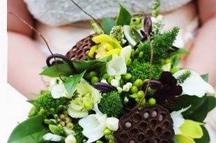 Paragon Flowers