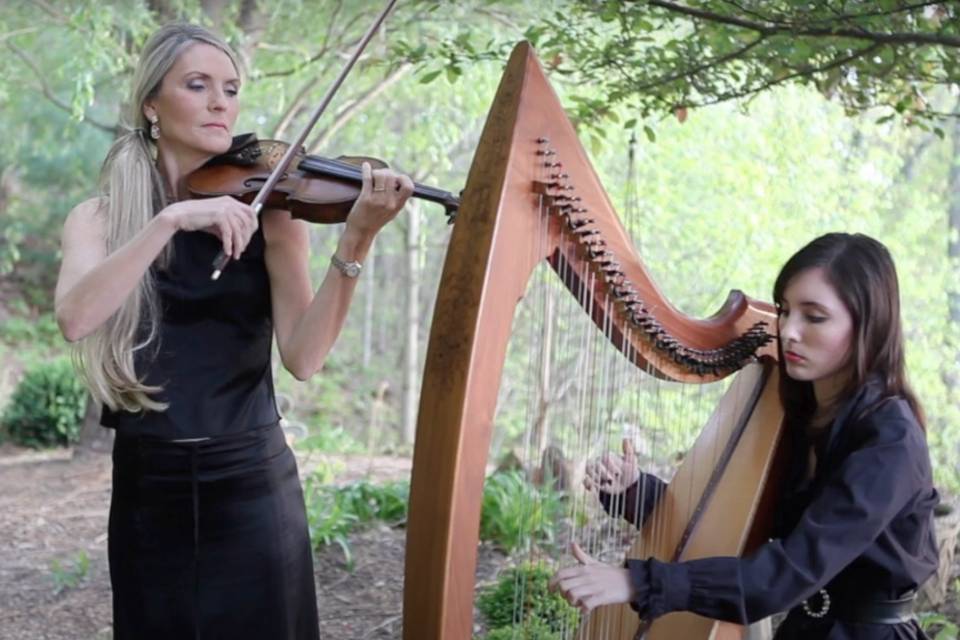 Harp and Violin