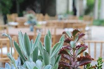 Succulent centerpieces. Photo by Jennifer Lindberg Weddings.