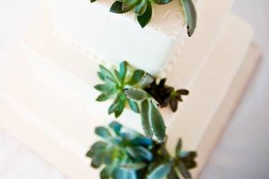 Succulent decor on wedding cake. Photo by Cory Ryan.