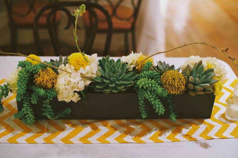 Succulent table runner. Photo by Nathan Russell Photo.