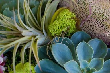 Closeup of coral elements in centerpieces for destination beach wedding in Rhode Island.Photo by Julia Robinson Photo.