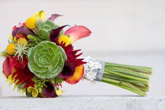 Succulent bouquet.Photo by Julia Robinson Photo.